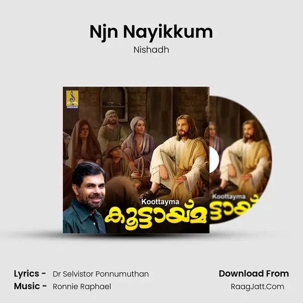 Njn Nayikkum Song mp3 | Nishadh