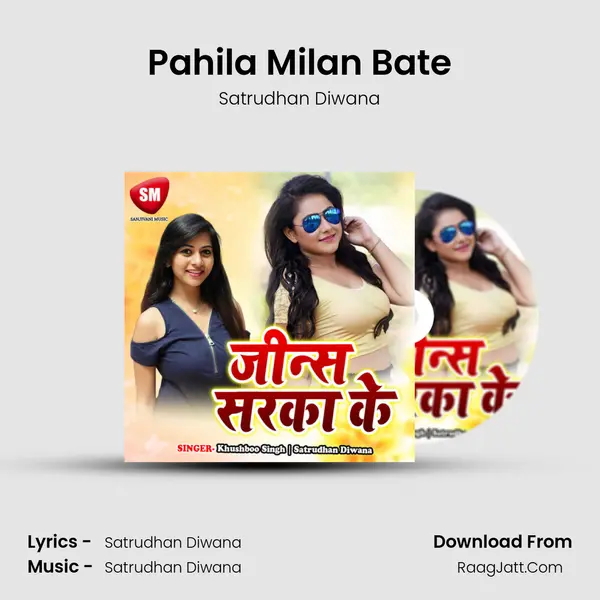 Pahila Milan Bate Song mp3 | Satrudhan Diwana