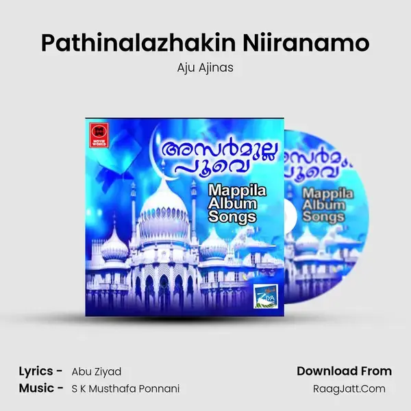 Pathinalazhakin Niiranamo Song mp3 | Aju Ajinas