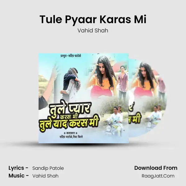 Tule Pyaar Karas Mi Song mp3 | Vahid Shah