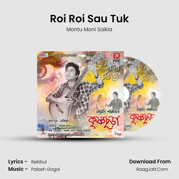 Roi Roi Sau Tuk mp3 song