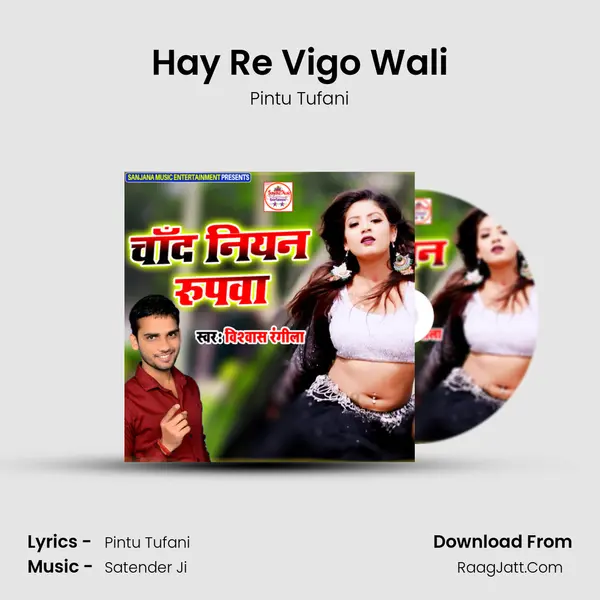 Hay Re Vigo Wali Song mp3 | Pintu Tufani