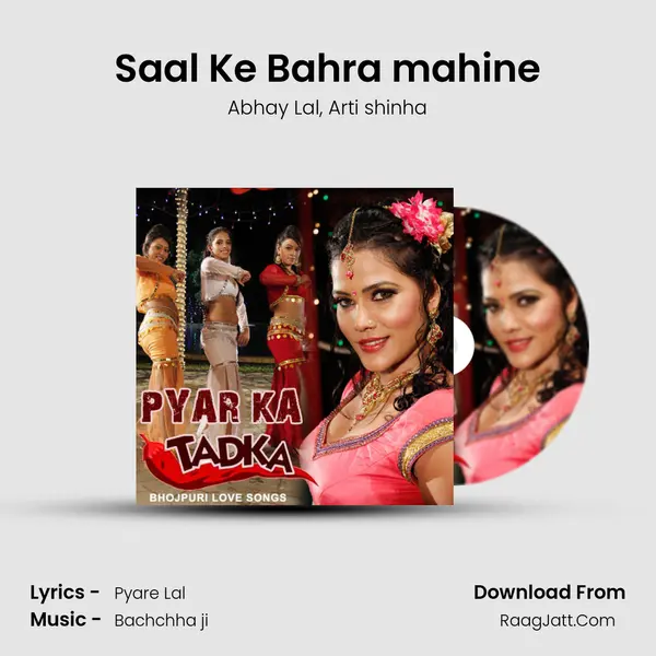 Saal Ke Bahra mahine Song mp3 | Abhay Lal