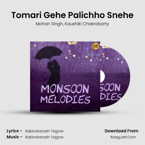 Tomari Gehe Palichho Snehe mp3 song