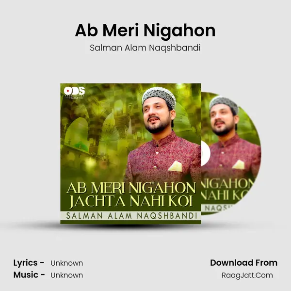 Ab Meri Nigahon Song mp3 | Salman Alam Naqshbandi