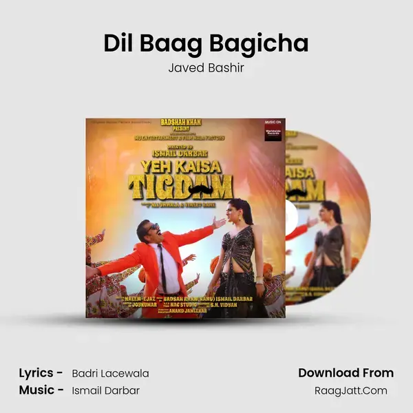 Dil Baag Bagicha mp3 song