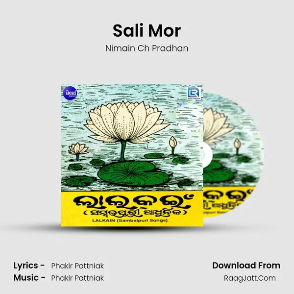 Sali Mor mp3 song