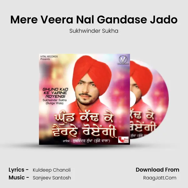 Mere Veera Nal Gandase Jado mp3 song