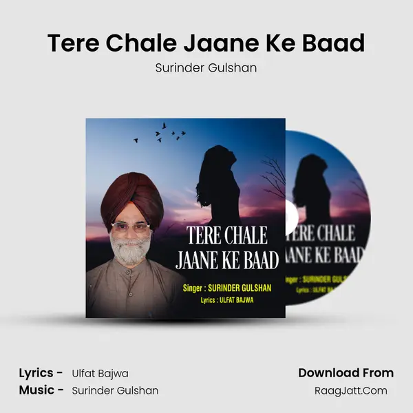 Tere Chale Jaane Ke Baad mp3 song