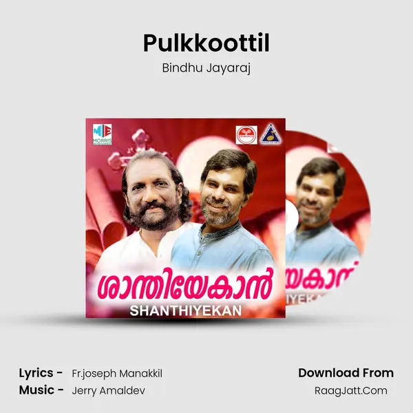 Pulkkoottil Song mp3 | Bindhu Jayaraj