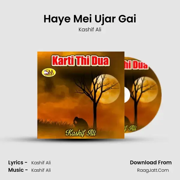 Haye Mei Ujar Gai mp3 song