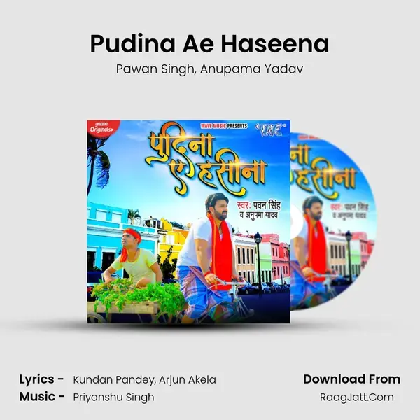 Pudina Ae Haseena - Pawan Singh