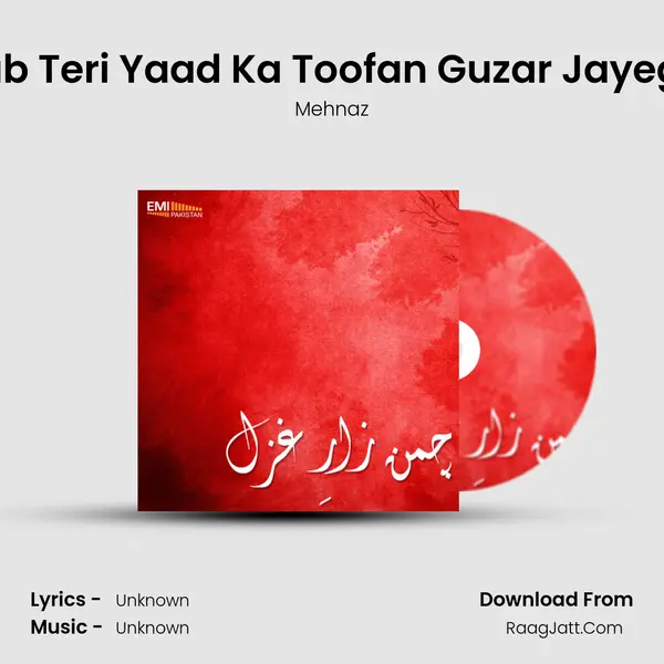 Jab Teri Yaad Ka Toofan Guzar Jayega Song mp3 | Mehnaz