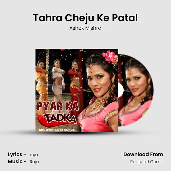 Tahra Cheju Ke Patal Song mp3 | Ashok Mishra