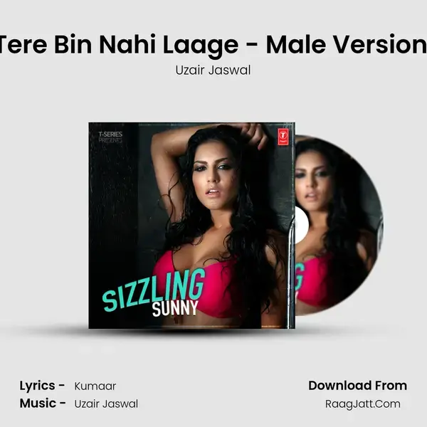 Tere Bin Nahi Laage - Male Version (From Ek Paheli Leela) Song mp3 | Uzair Jaswal