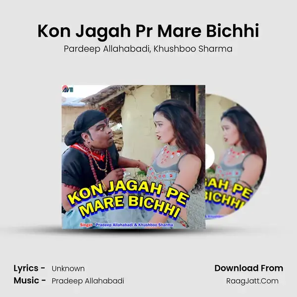 Kon Jagah Pr Mare Bichhi mp3 song