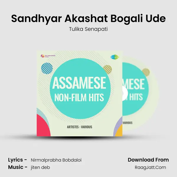 Sandhyar Akashat Bogali Ude Song mp3 | Tulika Senapati