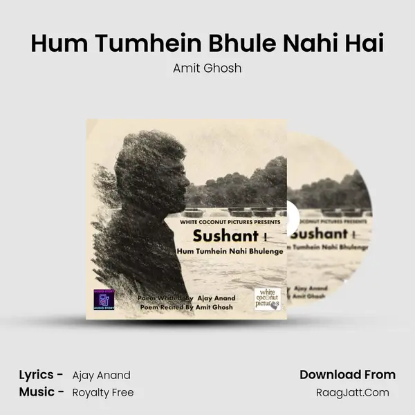 Hum Tumhein Bhule Nahi Hai mp3 song