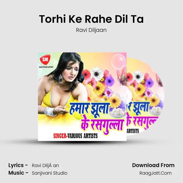 Torhi Ke Rahe Dil Ta Song mp3 | Ravi Diljaan