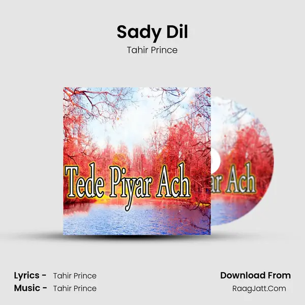 Sady Dil Song mp3 | Tahir Prince