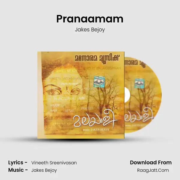 Pranaamam Song mp3 | Jakes Bejoy