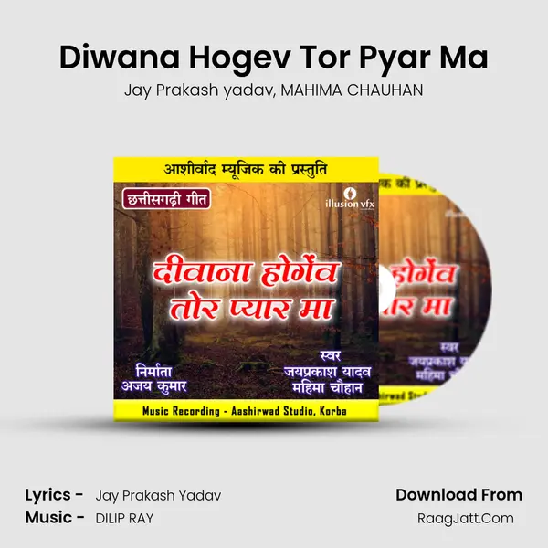 Diwana Hogev Tor Pyar Ma mp3 song