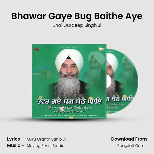 Bhawar Gaye Bug Baithe Aye mp3 song