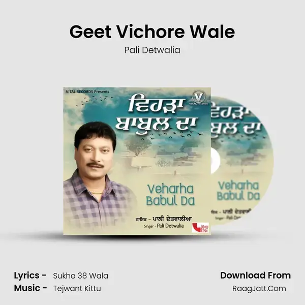 Geet Vichore Wale mp3 song