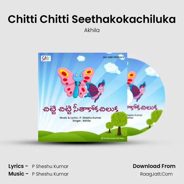 Chitti Chitti Seethakokachiluka - Akhila