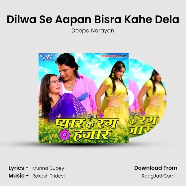 Dilwa Se Aapan Bisra Kahe Dela Song mp3 | Deepa Narayan