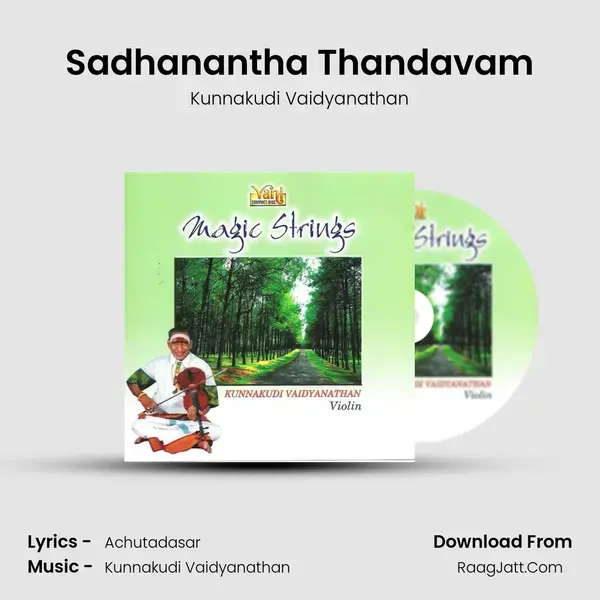 Sadhanantha Thandavam Song mp3 | Kunnakudi Vaidyanathan