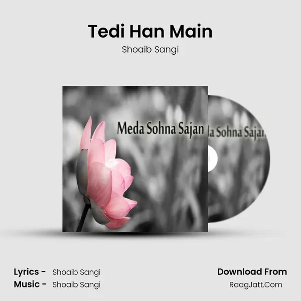 Tedi Han Main Song mp3 | Shoaib Sangi