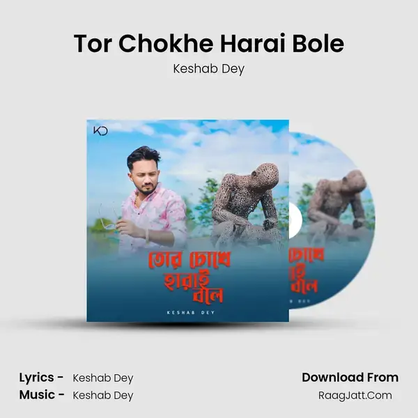 Tor Chokhe Harai Bole mp3 song