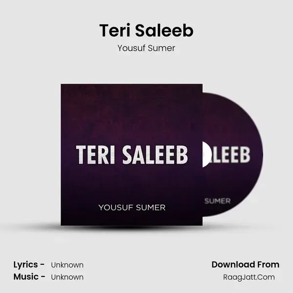 Teri Saleeb mp3 song