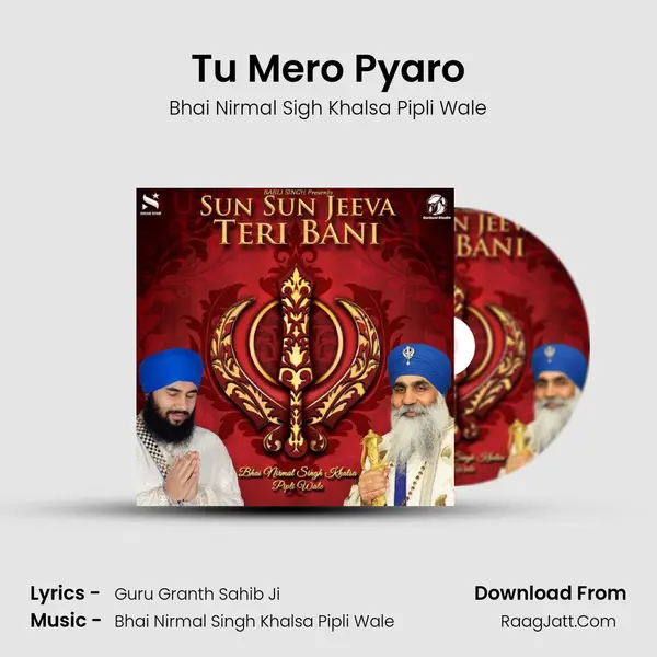 Tu Mero Pyaro mp3 song