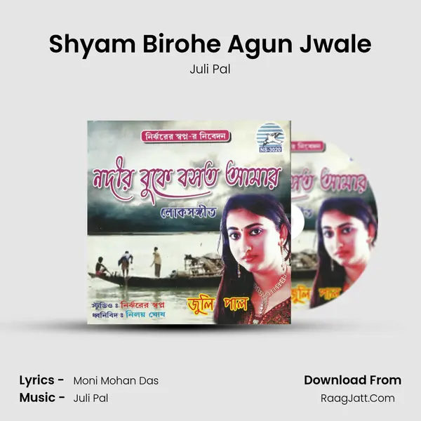 Shyam Birohe Agun Jwale Song mp3 | Juli Pal