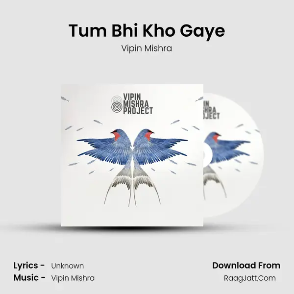 Tum Bhi Kho Gaye Song mp3 | Vipin Mishra