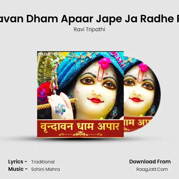 Vrindavan Dham Apaar Jape Ja Radhe Radhe mp3 song