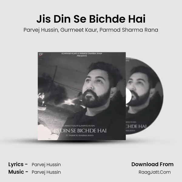 Jis Din Se Bichde Hai mp3 song