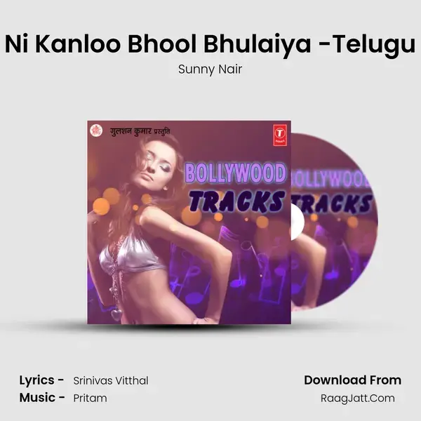 Ni Kanloo Bhool Bhulaiya -Telugu mp3 song