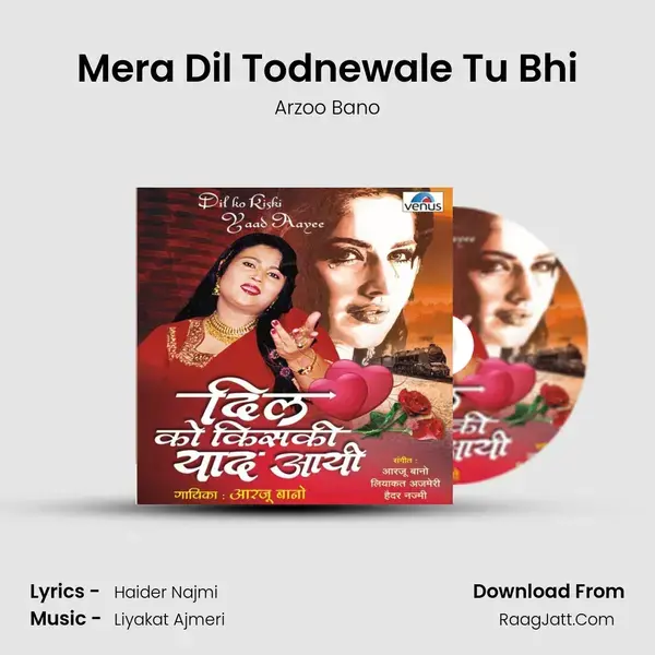 Mera Dil Todnewale Tu Bhi mp3 song