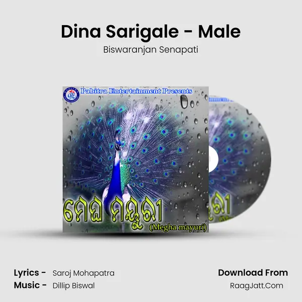 Dina Sarigale - Male Song mp3 | Biswaranjan Senapati