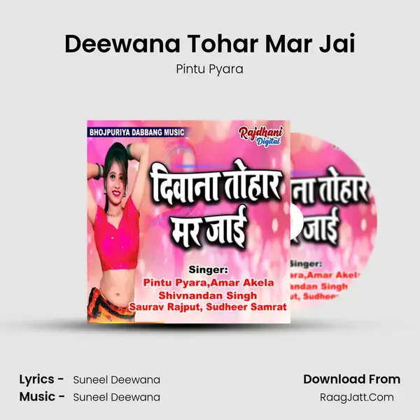 Deewana Tohar Mar Jai Song mp3 | Pintu Pyara