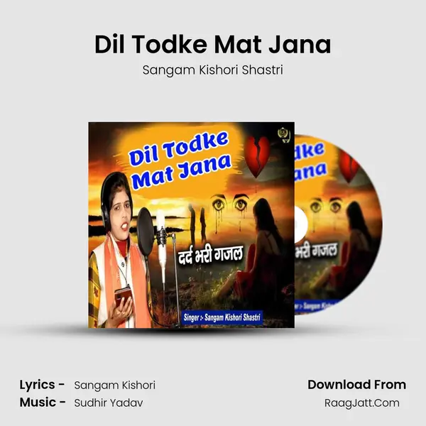 Dil Todke Mat Jana mp3 song