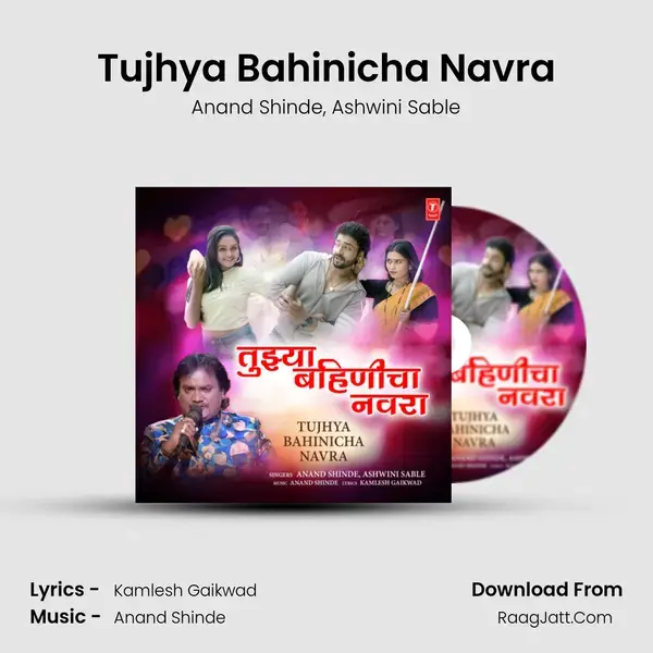 Tujhya Bahinicha Navra - Anand Shinde