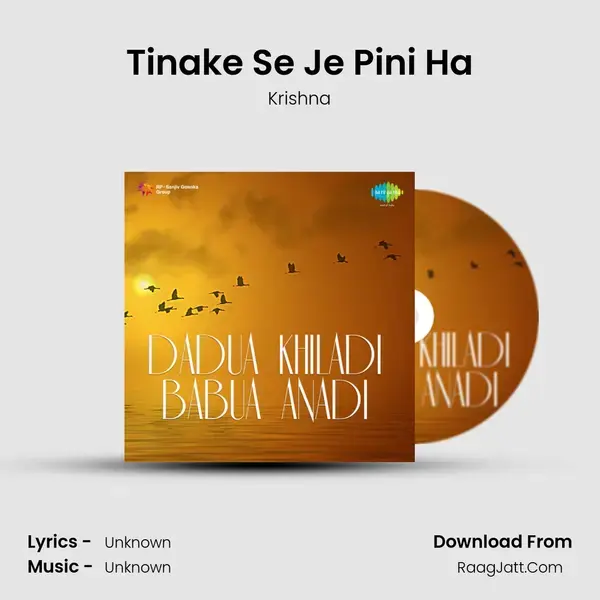 Tinake Se Je Pini Ha Song mp3 | Krishna