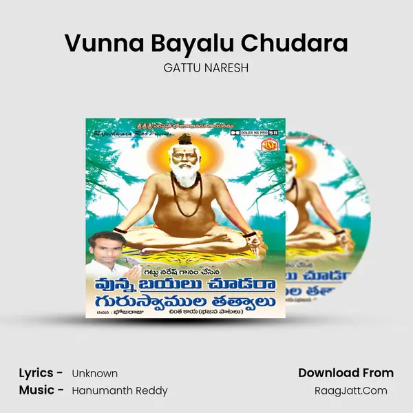 Vunna Bayalu Chudara Song mp3 | GATTU NARESH