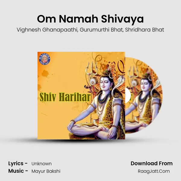 Om Namah Shivaya mp3 song