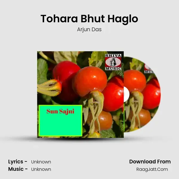 Tohara Bhut Haglo mp3 song