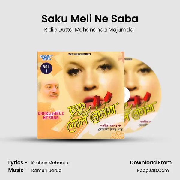 Saku Meli Ne Saba mp3 song